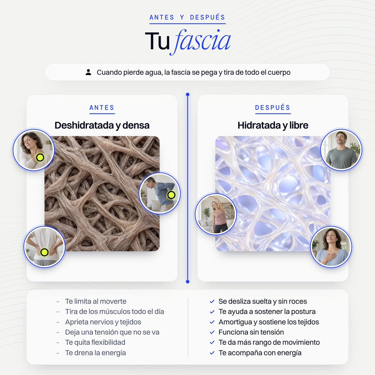 Fascia deshidratada y fascia hidratada, antes y después
